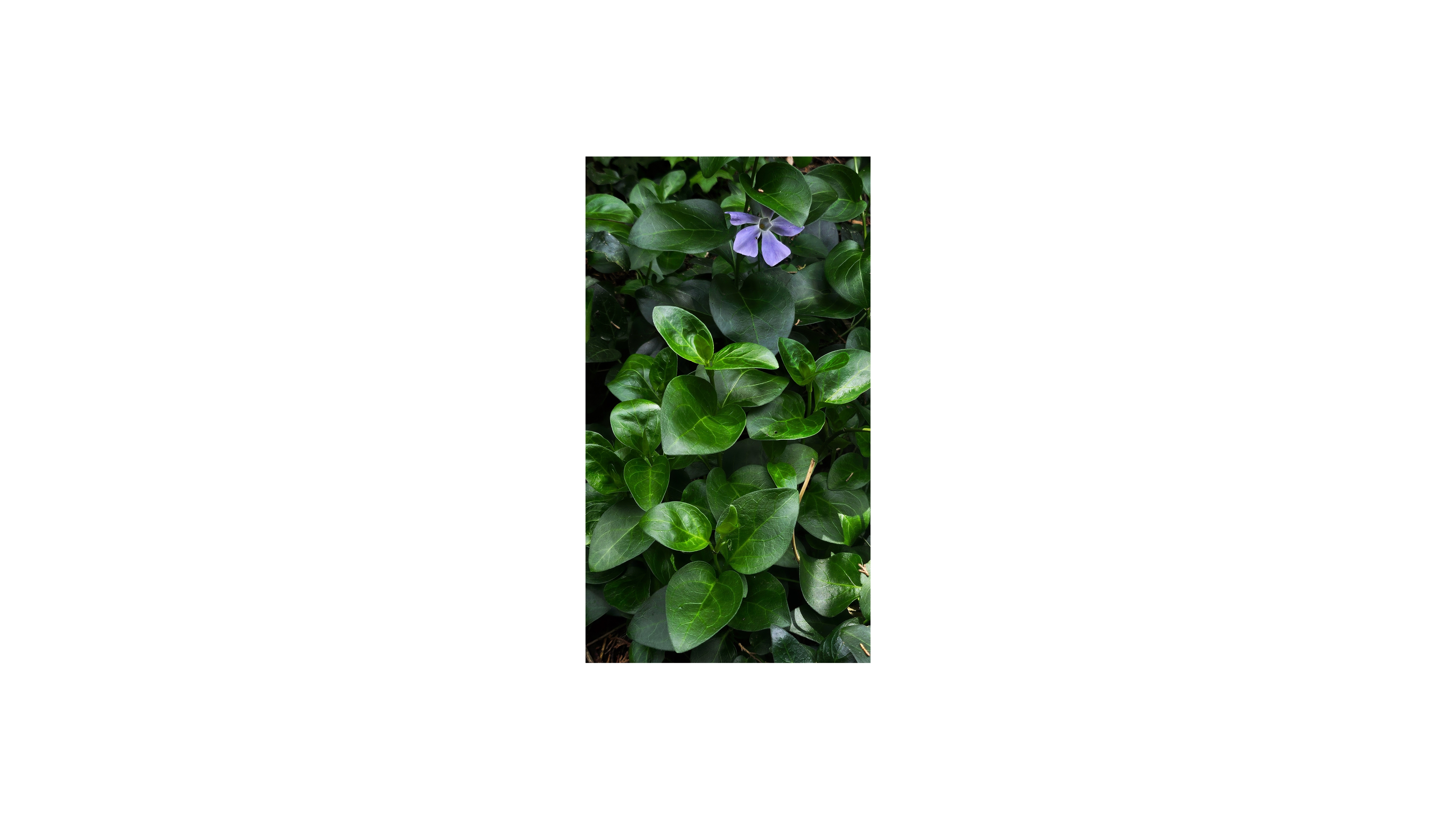 Fotografía de autor 19