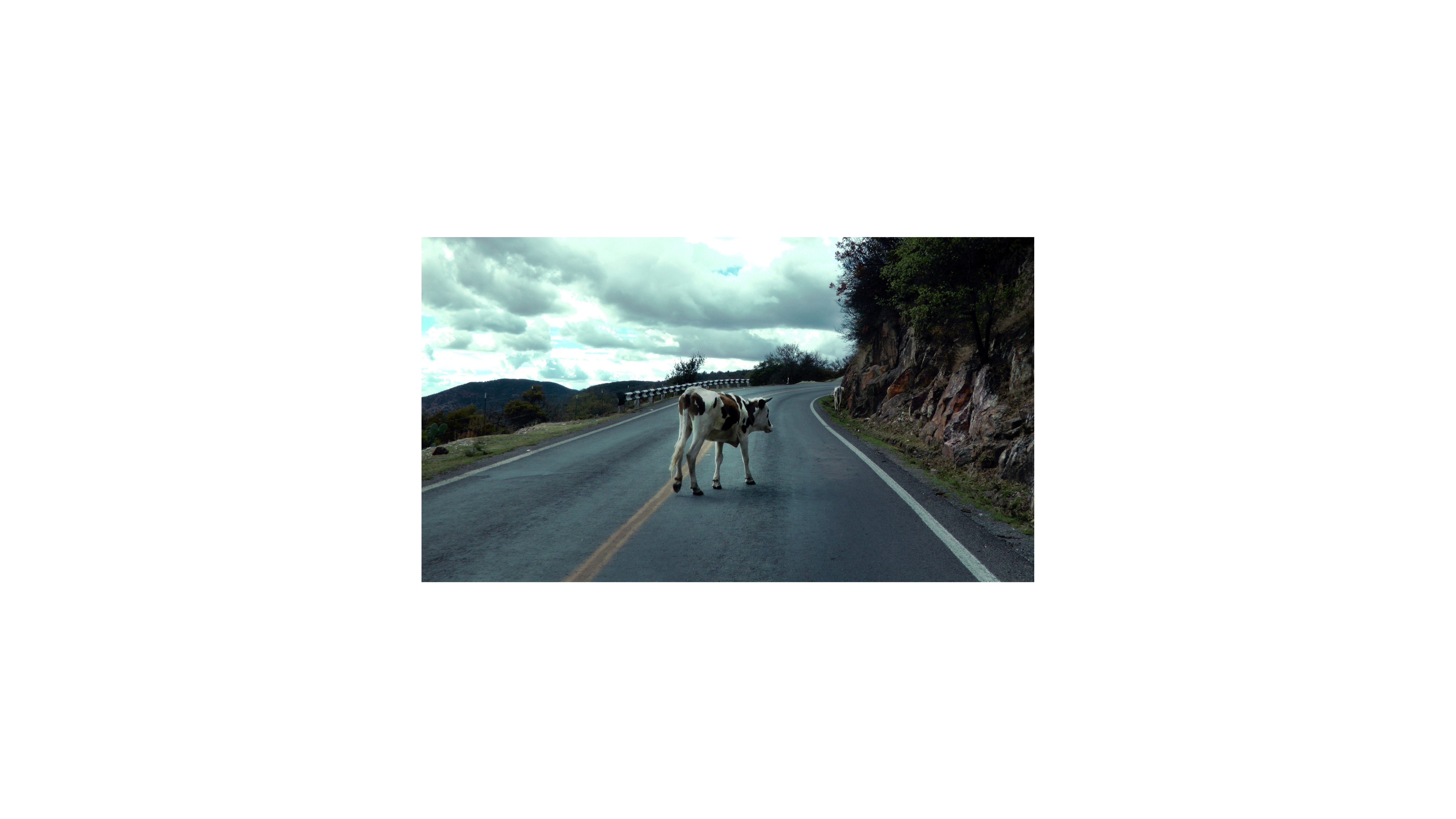 Fotografía de autor 23